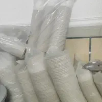 ظروف یکبارمصرف گیاهی آملون