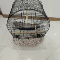 قفس پرنده