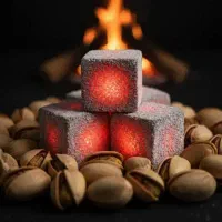 تولیدکننده و پخش ذغال خانم بخشی