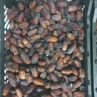 خرما رودان