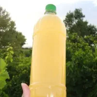 آبغوره درجه یک زرقان