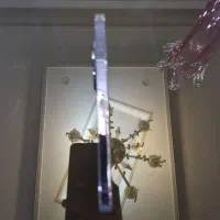 ایفون ۱۴ پرومکس