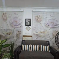 دو عدد پرده زبرا