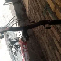 دوچرخه 24|دوچرخه، اسکیت، اسکوتر|محمدشهر, کوی بهار|دیوار