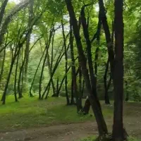 تور سه روزه اردبیل / دو شب دیجی و...