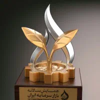 پرداخت‌کاری حرفه‌ای