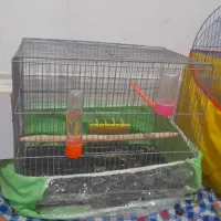 قفس با کل وسایل