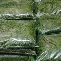 سبزیجات آماده و تازه
