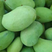 انبه کال