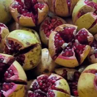 محصولات خانگی