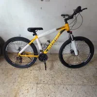 دوچرخه اورلورد