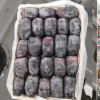 فروش رطب مضافتی دو ردیف