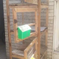 قفس چوبی     ایستاده