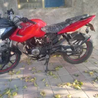 پالس 135 LS|موتورسیکلت|بشاریات, |دیوار