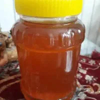 عسل طبیعی قیمت مفت
