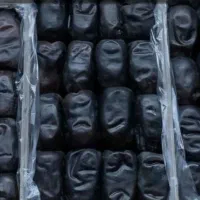 خرمای مضافتی