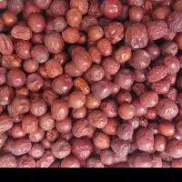 عناب  ب شرط سالم بودن
