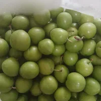 گوجه سبز