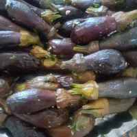 کار|حراج|خواف, |دیوار