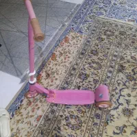 اسکوتربچه گانه