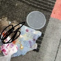 جوجه قناری دم زرد