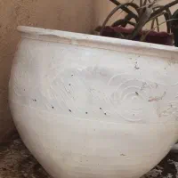 گلدان|گل و گیاه طبیعی|گلمکان, |دیوار