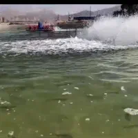 نگهبانی