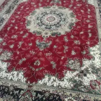 قالی تازه شسته شده درحدنو
