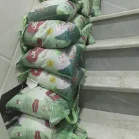 برنج پاکستانی درجه۱جهان گل۳۸۶وسبزبهارفارس۳۸۶