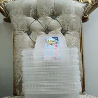 نظم دهنده