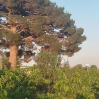 باغ-285-متری-قابل-ساخت-اقساطی-و-معاوضه-خودرو