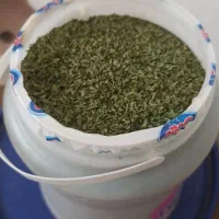 نعنا خشک