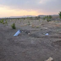 فروش زمین محصور با درخت ۳ ساله
