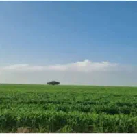 اجاره زمین کشاورزی