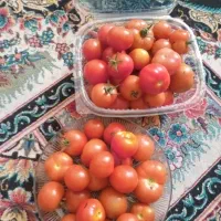 گوجه تازه تمیز کیلویی ۶۰