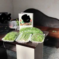 وسایل کارگاه سبزیجات