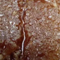 عسل|خوردنی و آشامیدنی|چرام, |دیوار