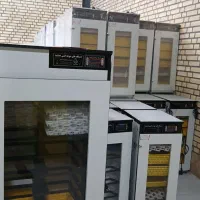 دستگاه جوجه‌کشی انتخاب ۹۹هوشمندانه تولیدکنندگان.