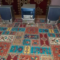 ضبط خانگی آیوا