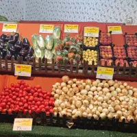 میز میوه و بار برای میوه فروشی