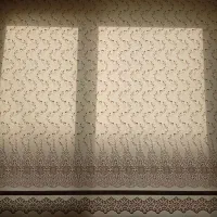 زبرا دو مکانیزم