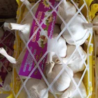 سیر سفید چینی وقرمز بسته بندی