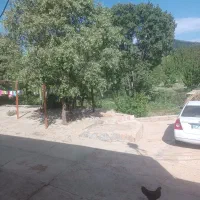 کارگر باغ