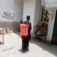 طعمه گذاری