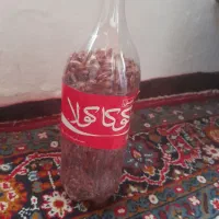 فروش باقالی محلی درجه یک