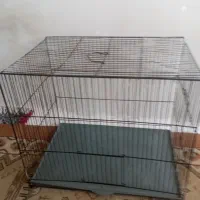 قفس پرنده