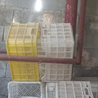 سبد حمال