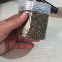 چوچاق خشک