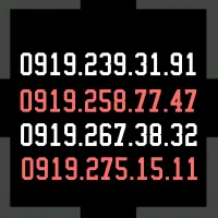 0919.275.15.11