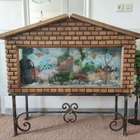 آکواریوم خانگی
